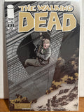 The Walking Dead #113