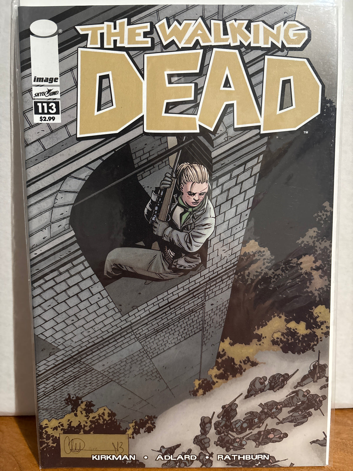 The Walking Dead #113